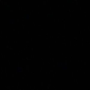 Meet your Posher, Travis